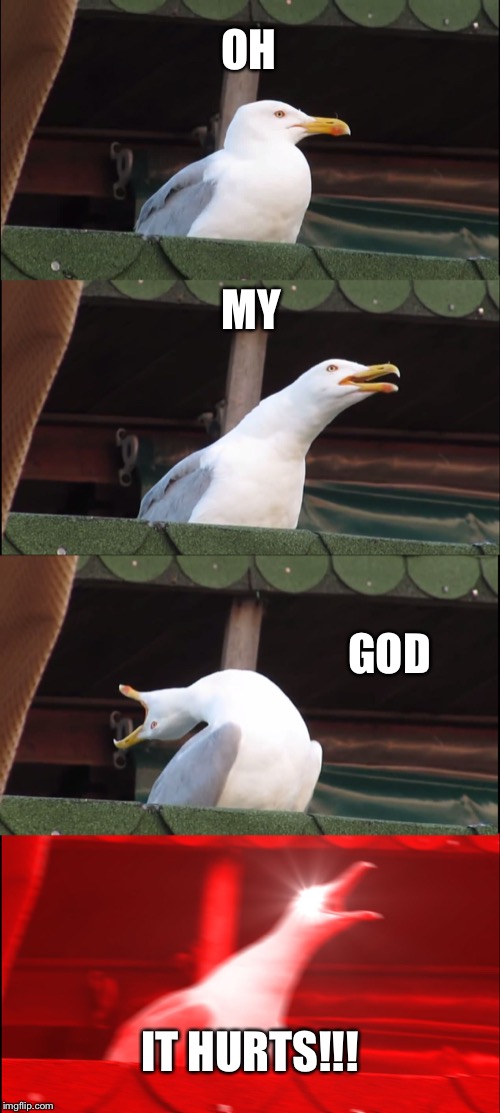 Inhaling Seagull Meme | OH MY GOD IT HURTS!!! | image tagged in memes,inhaling seagull | made w/ Imgflip meme maker