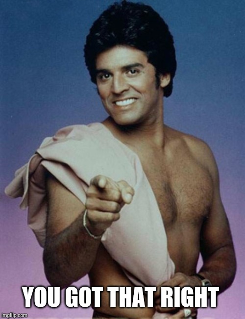 Ponch | YOU GOT THAT RIGHT | image tagged in ponch | made w/ Imgflip meme maker