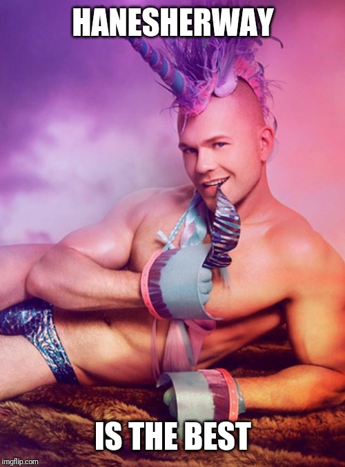 Sexy Gay Unicorn | HANESHERWAY IS THE BEST | image tagged in sexy gay unicorn | made w/ Imgflip meme maker