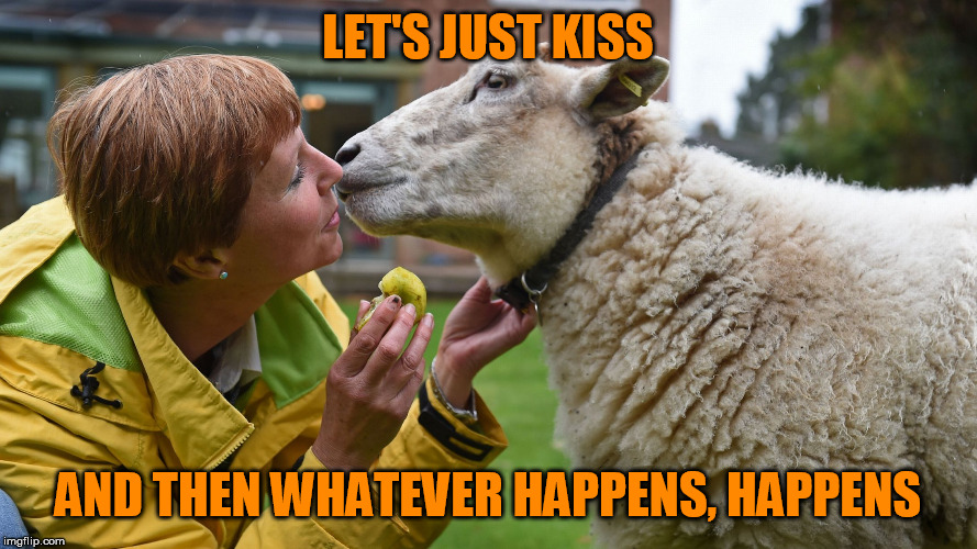 LET'S JUST KISS AND THEN WHATEVER HAPPENS, HAPPENS | made w/ Imgflip meme maker