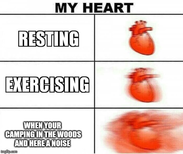 MY HEART | WHEN YOUR CAMPING IN THE WOODS AND HERE A NOISE | image tagged in my heart,memes,funny,camping,noise | made w/ Imgflip meme maker