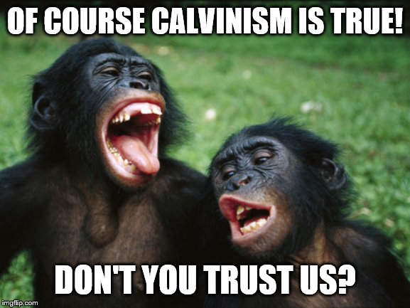 Bonobo Lyfe Meme | OF COURSE CALVINISM IS TRUE! DON'T YOU TRUST US? | image tagged in memes,bonobo lyfe | made w/ Imgflip meme maker