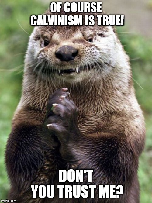 Evil Otter Meme | OF COURSE CALVINISM IS TRUE! DON'T YOU TRUST ME? | image tagged in memes,evil otter | made w/ Imgflip meme maker