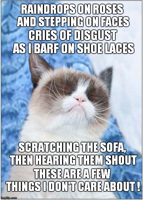 When Grumpy Sings Raindrops on Roses | RAINDROPS ON ROSES AND STEPPING ON FACES; CRIES OF DISGUST AS I BARF ON SHOE LACES; SCRATCHING THE SOFA, THEN HEARING THEM SHOUT; THESE ARE A FEW THINGS I DON'T CARE ABOUT ! | image tagged in cats,grumpy cat | made w/ Imgflip meme maker