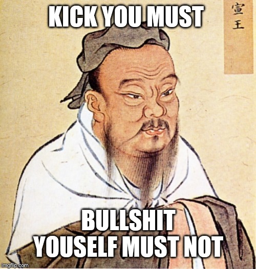 wise confusius | KICK YOU MUST BULLSHIT YOUSELF MUST NOT | image tagged in wise confusius | made w/ Imgflip meme maker