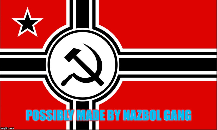 This is a NazBol (National Bolshevik) flag, or more commonly known online as CommuniNazism. Let the debates begin!!! | POSSIBLY MADE BY NAZBOL GANG | image tagged in politics,nazism,communism,nazbol | made w/ Imgflip meme maker