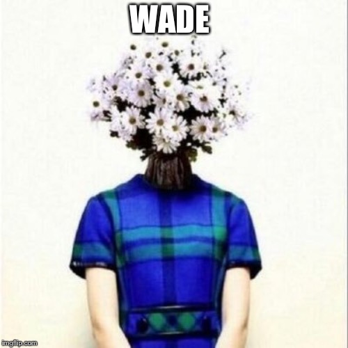 WADE | made w/ Imgflip meme maker