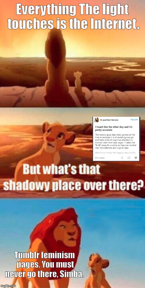 Feminazis | Everything The light touches is the Internet. Tumblr feminism pages. You must never go there, Simba. | image tagged in memes,simba shadowy place,feminazi,tumblr | made w/ Imgflip meme maker