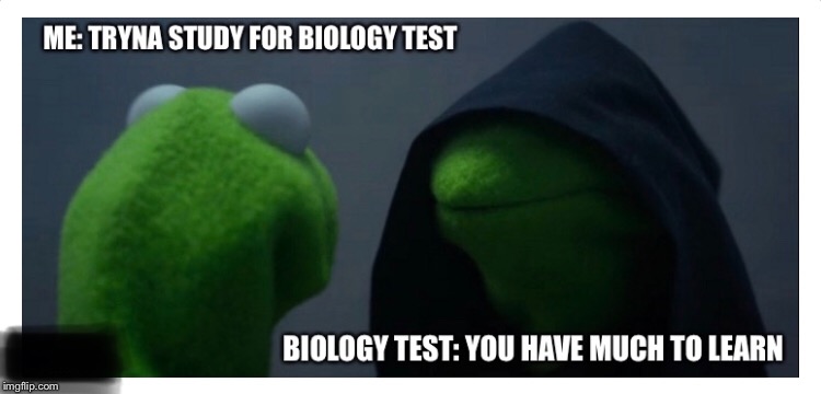 image tagged in kermit the frog,biology,tests,evil,learn,studying | made w/ Imgflip meme maker