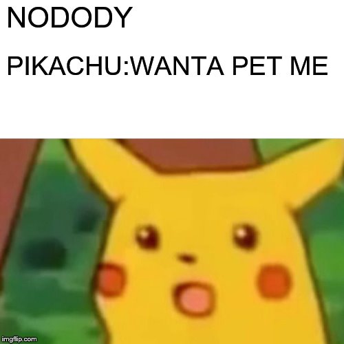 Surprised Pikachu Meme | NODODY; PIKACHU:WANTA PET ME | image tagged in memes,surprised pikachu | made w/ Imgflip meme maker
