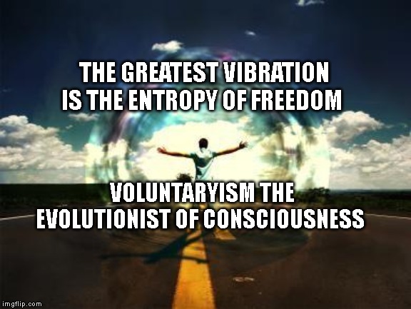 power energy flow | THE GREATEST VIBRATION IS THE ENTROPY OF FREEDOM; VOLUNTARYISM THE EVOLUTIONIST OF CONSCIOUSNESS | image tagged in power energy flow | made w/ Imgflip meme maker