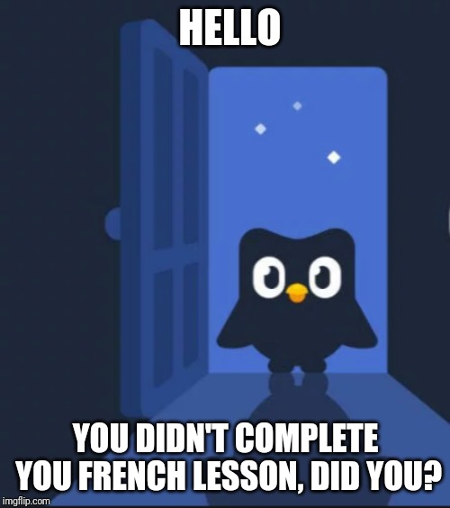 Duolingo bird | HELLO; YOU DIDN'T COMPLETE YOU FRENCH LESSON, DID YOU? | image tagged in duolingo bird | made w/ Imgflip meme maker