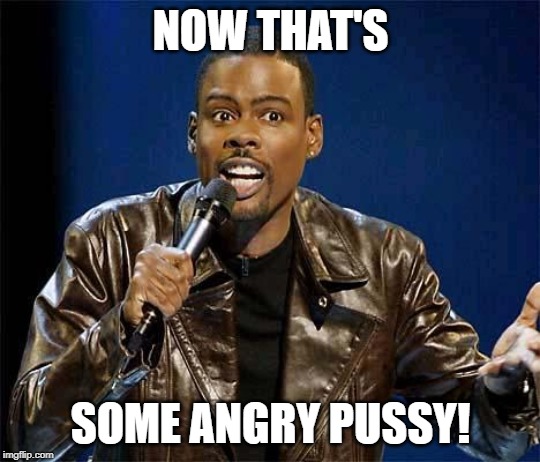 Chris Rock | NOW THAT'S SOME ANGRY PUSSY! | image tagged in chris rock | made w/ Imgflip meme maker