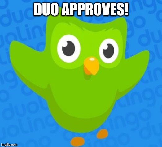 duolingo bird | DUO APPROVES! | image tagged in duolingo bird | made w/ Imgflip meme maker
