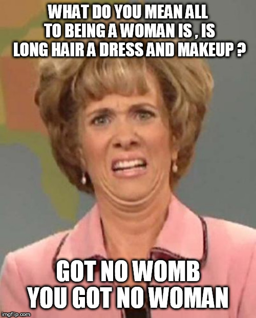 Disgusted Kristin Wiig | WHAT DO YOU MEAN ALL TO BEING A WOMAN IS , IS LONG HAIR A DRESS AND MAKEUP ? GOT NO WOMB YOU GOT NO WOMAN | image tagged in disgusted kristin wiig | made w/ Imgflip meme maker