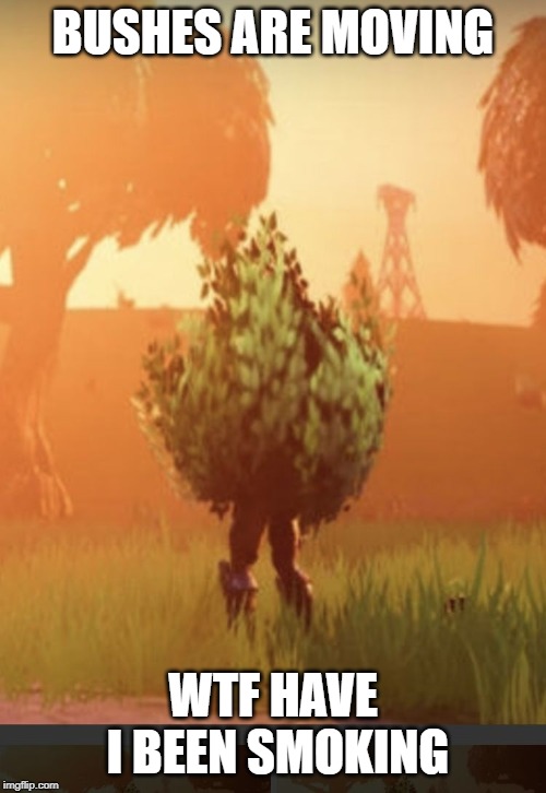 Fortnite bush | BUSHES ARE MOVING; WTF HAVE I BEEN SMOKING | image tagged in fortnite bush | made w/ Imgflip meme maker