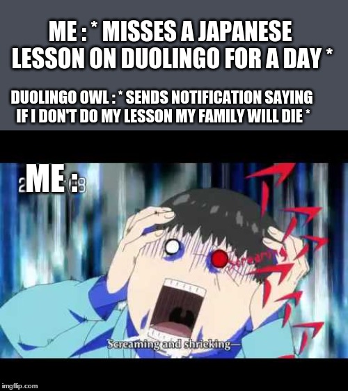 Tokyo ghoul | ME : * MISSES A JAPANESE LESSON ON DUOLINGO FOR A DAY *; DUOLINGO OWL : * SENDS NOTIFICATION SAYING IF I DON'T DO MY LESSON MY FAMILY WILL DIE *; ME : | image tagged in tokyo ghoul | made w/ Imgflip meme maker