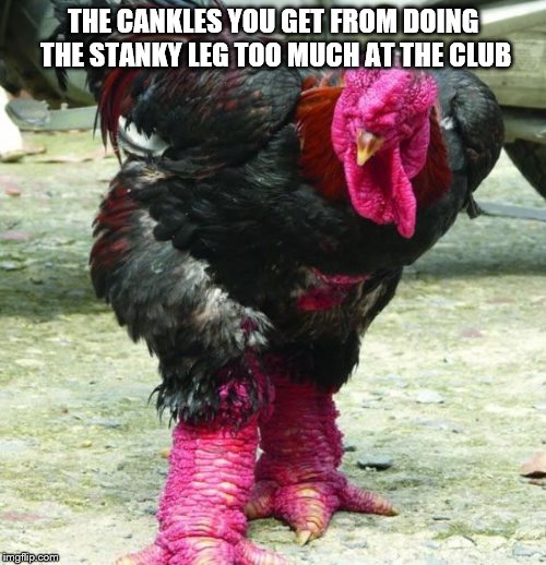 THE CANKLES YOU GET FROM DOING THE STANKY LEG TOO MUCH AT THE CLUB | image tagged in stanky leg | made w/ Imgflip meme maker
