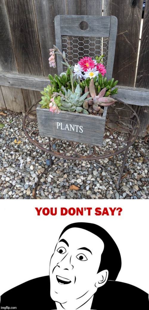 Speaking of creative titles... | image tagged in memes,you don't say,plants,flowers,garden | made w/ Imgflip meme maker