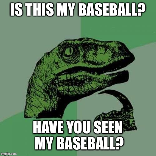 Philosoraptor | IS THIS MY BASEBALL? HAVE YOU SEEN MY BASEBALL? | image tagged in memes,philosoraptor | made w/ Imgflip meme maker