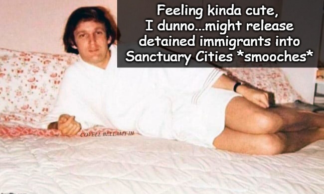 trump feeling cute immigrants sanctuary Blank Meme Template