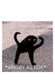Angery as Fuk Blank Meme Template