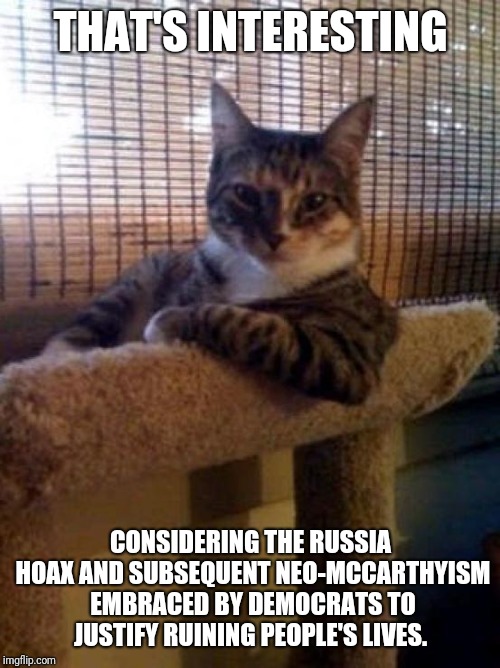 The Most Interesting Cat In The World Meme | THAT'S INTERESTING CONSIDERING THE RUSSIA HOAX AND SUBSEQUENT NEO-MCCARTHYISM EMBRACED BY DEMOCRATS TO JUSTIFY RUINING PEOPLE'S LIVES. | image tagged in memes,the most interesting cat in the world | made w/ Imgflip meme maker