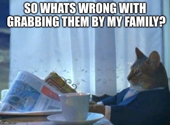 I Should Buy A Boat Cat Meme | SO WHATS WRONG WITH GRABBING THEM BY MY FAMILY? | image tagged in memes,i should buy a boat cat | made w/ Imgflip meme maker