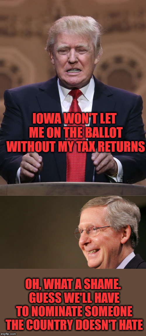 How the Democrats will hand 2020 to the GOP | IOWA WON'T LET ME ON THE BALLOT WITHOUT MY TAX RETURNS; OH, WHAT A SHAME. GUESS WE'LL HAVE TO NOMINATE SOMEONE THE COUNTRY DOESN'T HATE | image tagged in donald trump,mitch mcconnell | made w/ Imgflip meme maker
