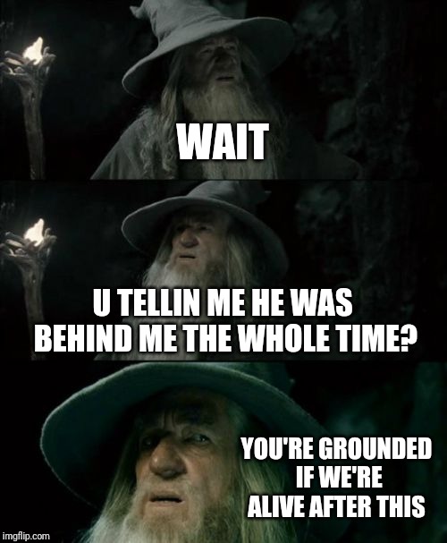 Confused Gandalf Meme | WAIT; U TELLIN ME HE WAS BEHIND ME THE WHOLE TIME? YOU'RE GROUNDED IF WE'RE ALIVE AFTER THIS | image tagged in memes,confused gandalf | made w/ Imgflip meme maker