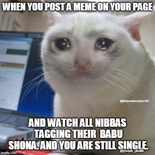 Crying cat | WHEN YOU POST A MEME ON YOUR PAGE; @thebackbencher143; AND WATCH ALL NIBBAS TAGGING THEIR  BABU SHONA.
AND YOU ARE STILL SINGLE. @yaqub_ghalib | image tagged in crying cat | made w/ Imgflip meme maker