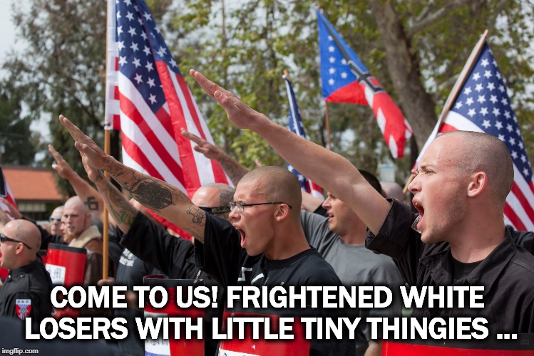 COME TO US! FRIGHTENED WHITE LOSERS WITH LITTLE TINY THINGIES ... | image tagged in neo-nazis,white supremacists,losers | made w/ Imgflip meme maker