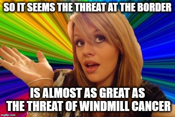 You know who you are listening to right? | SO IT SEEMS THE THREAT AT THE BORDER; IS ALMOST AS GREAT AS THE THREAT OF WINDMILL CANCER | image tagged in memes,dumb blonde,maga,impeach trump,politics,immigration | made w/ Imgflip meme maker