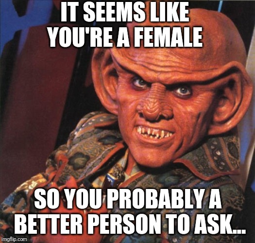 Ferengi | IT SEEMS LIKE YOU'RE A FEMALE; SO YOU PROBABLY A BETTER PERSON TO ASK... | image tagged in ferengi | made w/ Imgflip meme maker