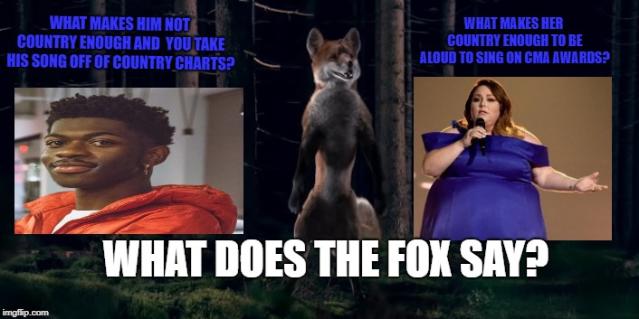 Why let chrissy Metz sing at CMA awards (not even singer) and take lil nas x off country chart( say wrong type singer)? | WHAT MAKES HIM NOT COUNTRY ENOUGH AND  YOU TAKE HIS SONG OFF OF COUNTRY CHARTS? WHAT MAKES HER COUNTRY ENOUGH TO BE ALOUD TO SING ON CMA AWARDS? WHAT DOES THE FOX SAY? | image tagged in crissy metz,lil nas x,country music | made w/ Imgflip meme maker
