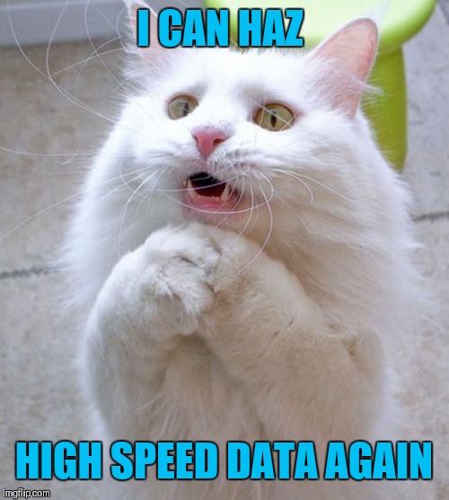 My high-speed data just refilled! Slow data sucks! | I CAN HAZ; HIGH SPEED DATA AGAIN | image tagged in i can haz,high speed data,slow phone,44colt | made w/ Imgflip meme maker