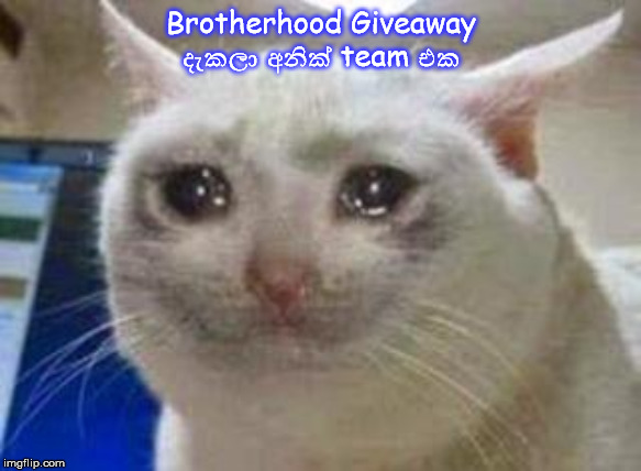 2yjj9h.jpg