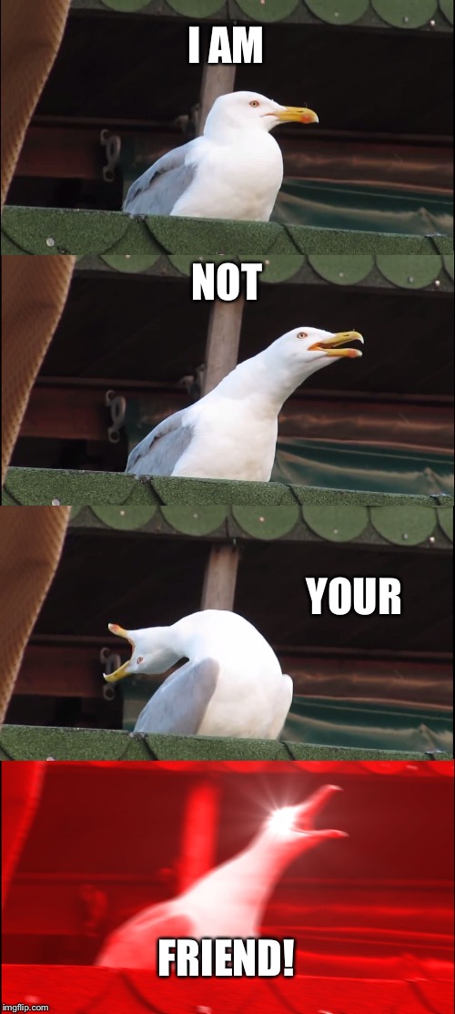 Inhaling Seagull Meme | I AM; NOT; YOUR; FRIEND! | image tagged in memes,inhaling seagull | made w/ Imgflip meme maker