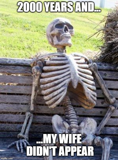 Harold when he gets a wife and died after 1990 years | 2000 YEARS AND... ...MY WIFE DIDN'T APPEAR | image tagged in memes,waiting skeleton,ded | made w/ Imgflip meme maker