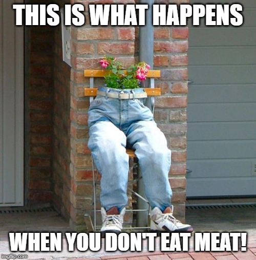 Vegetarians Beware! | THIS IS WHAT HAPPENS; WHEN YOU DON'T EAT MEAT! | image tagged in vegetarian | made w/ Imgflip meme maker