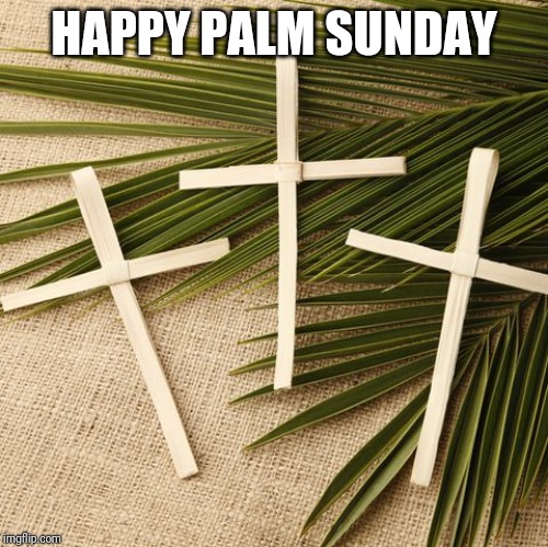 Cross and palms | HAPPY PALM SUNDAY | image tagged in cross and palms | made w/ Imgflip meme maker