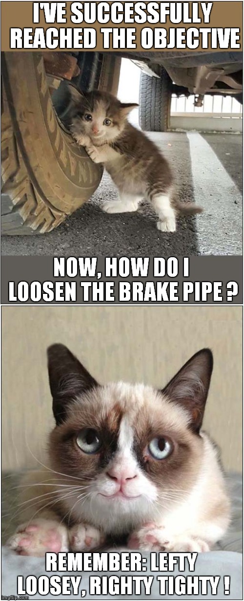 Grumpys Car Maintenance | I'VE SUCCESSFULLY REACHED THE OBJECTIVE; NOW, HOW DO I LOOSEN THE BRAKE PIPE ? REMEMBER: LEFTY LOOSEY, RIGHTY TIGHTY ! | image tagged in cats,grumpy cat | made w/ Imgflip meme maker