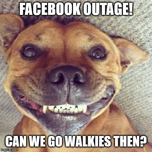 Smiling dog | FACEBOOK OUTAGE! CAN WE GO WALKIES THEN? | image tagged in smiling dog | made w/ Imgflip meme maker