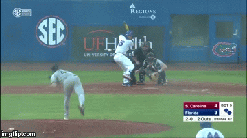 The Butler Did It | image tagged in gifs,uf,gators | made w/ Imgflip video-to-gif maker