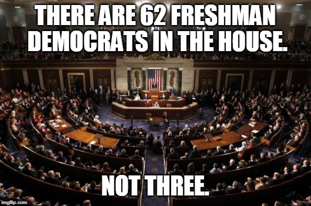 congress | THERE ARE 62 FRESHMAN DEMOCRATS IN THE HOUSE. NOT THREE. | image tagged in congress,freshman,democrats | made w/ Imgflip meme maker