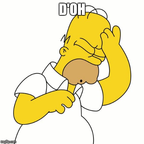 Homer D'Oh | D'OH | image tagged in homer d'oh | made w/ Imgflip meme maker