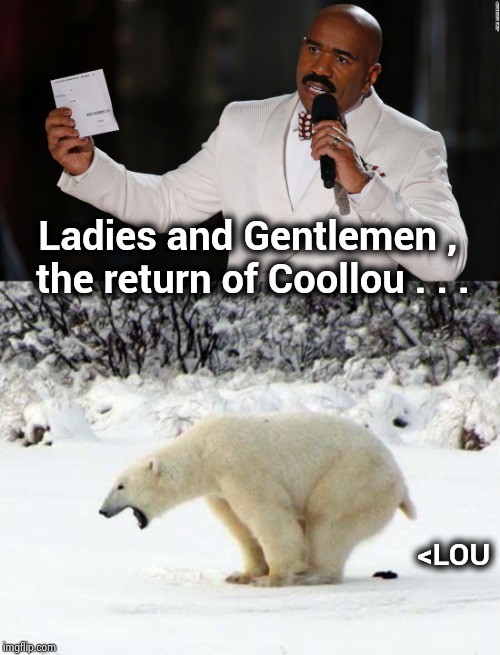 Alt-Accounts , Alt-Accounts everywhere | Ladies and Gentlemen , the return of Coollou . . . <LOU | image tagged in coollew,try it out,again,how about no bear,alt using trolls | made w/ Imgflip meme maker