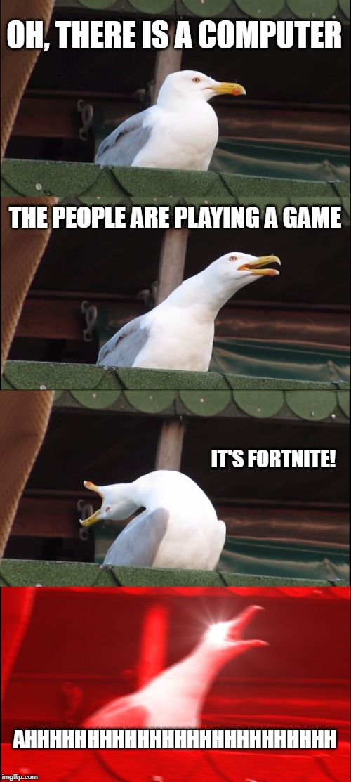 Inhaling Seagull | OH, THERE IS A COMPUTER; THE PEOPLE ARE PLAYING A GAME; IT'S FORTNITE! AHHHHHHHHHHHHHHHHHHHHHHHHH | image tagged in memes,inhaling seagull | made w/ Imgflip meme maker
