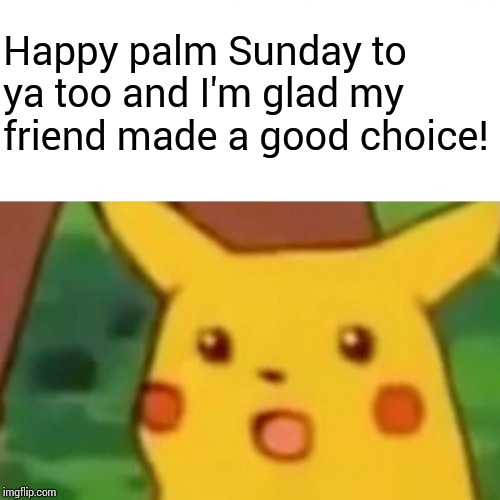 Surprised Pikachu Meme | Happy palm Sunday to ya too and I'm glad my friend made a good choice! | image tagged in memes,surprised pikachu | made w/ Imgflip meme maker