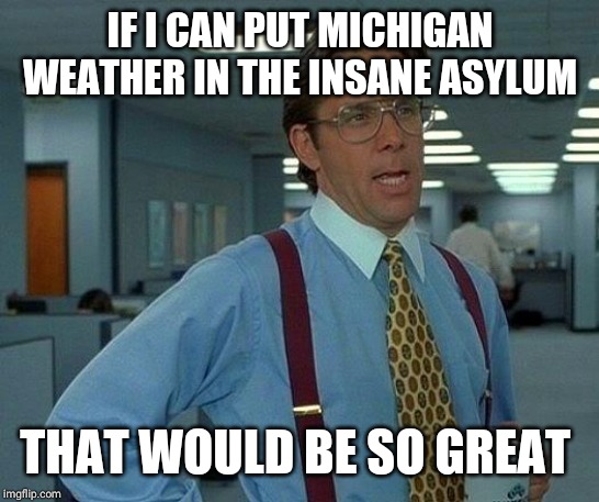 That Would Be Great | IF I CAN PUT MICHIGAN WEATHER IN THE INSANE ASYLUM; THAT WOULD BE SO GREAT | image tagged in memes,that would be great | made w/ Imgflip meme maker